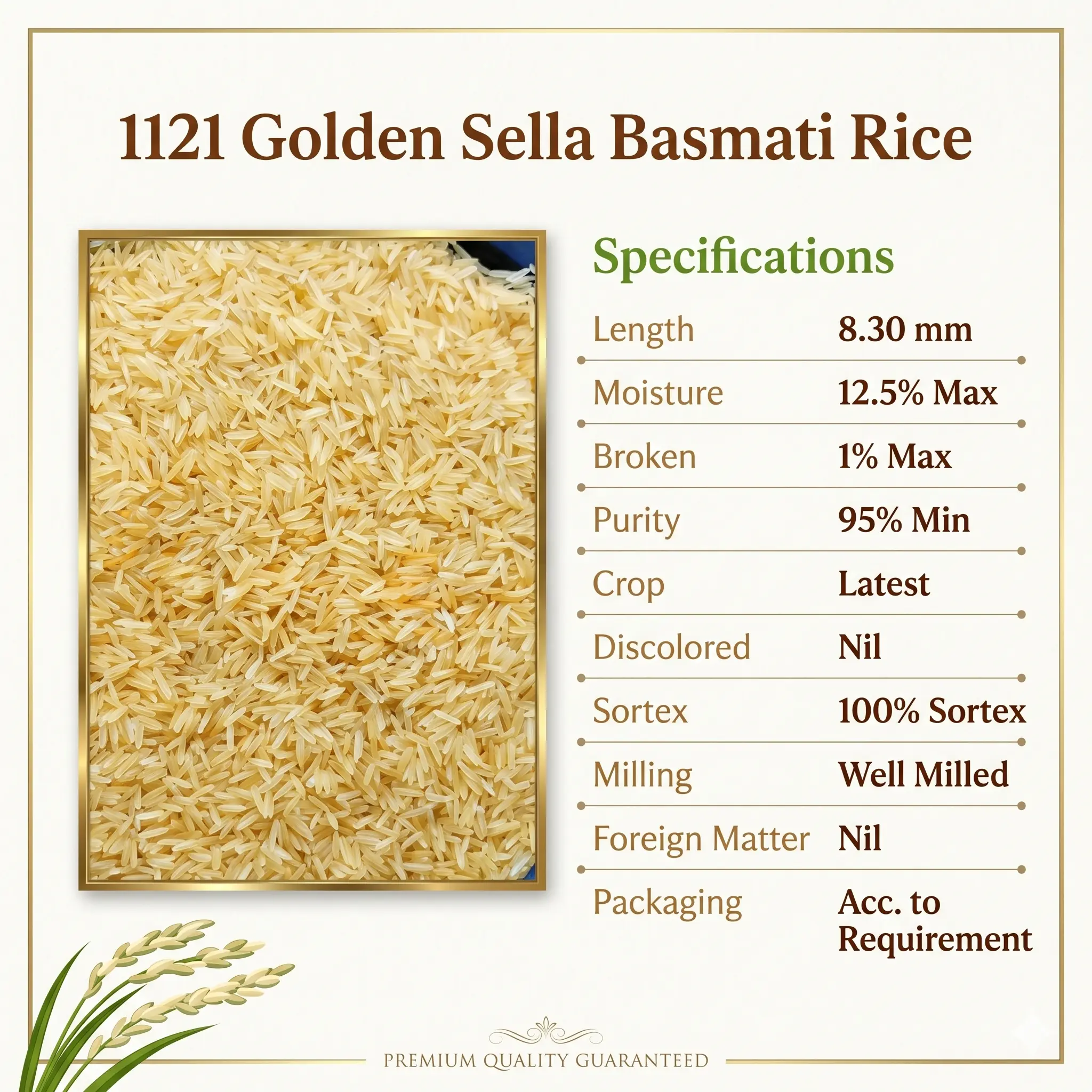 1121 Golden Sella Lab Specifications Report